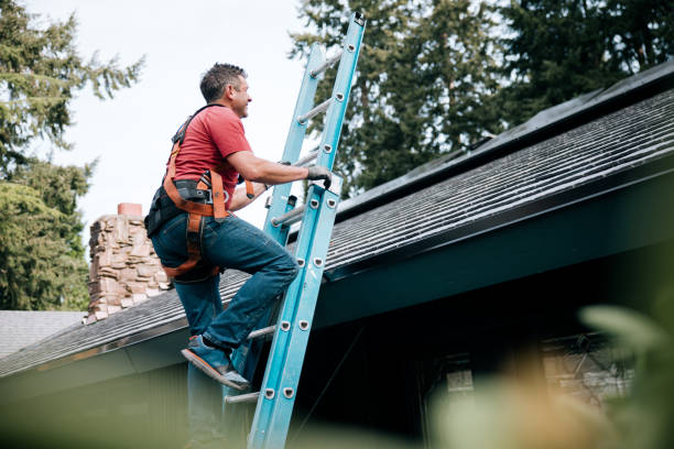 Best Roof Maintenance and Cleaning  in Clear Lake, IA